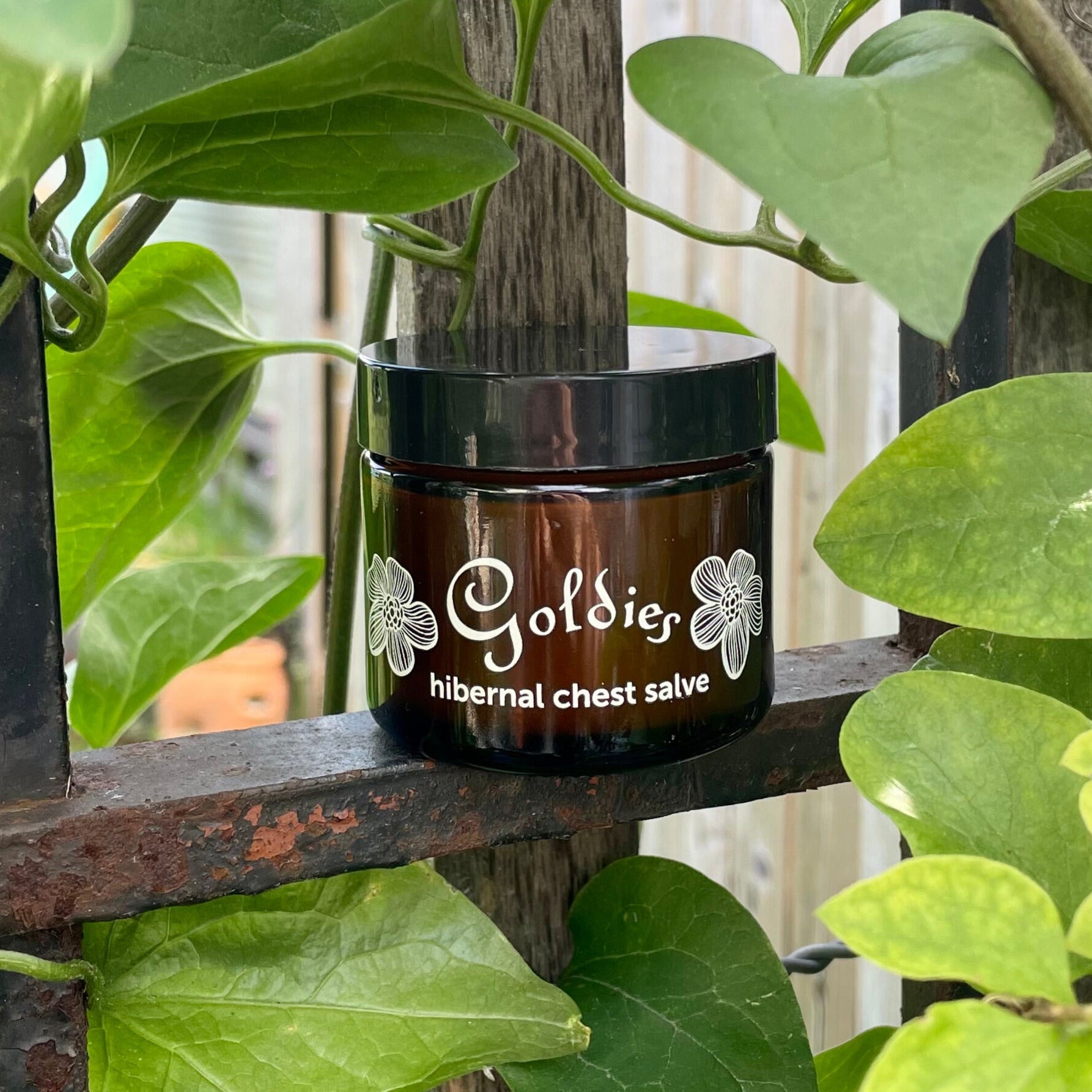 Hibernal Chest Salve